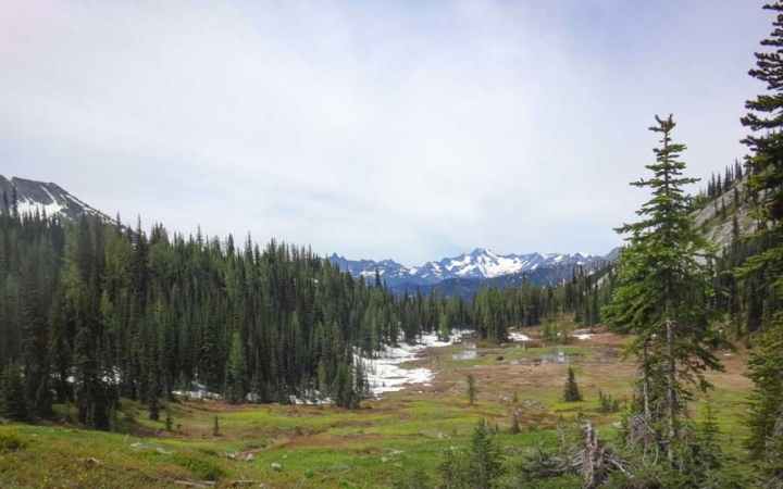 a meadow with trees, grass and snow, with mountains in the distance
